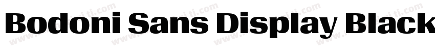 Bodoni Sans Display Black字体转换